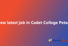 Latest available job in Cadet College Petaro 2025 Clerk, Caretaker, Caterer Compounder