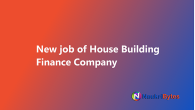 Latest job of House Building Finance Company IT Manager HBFC