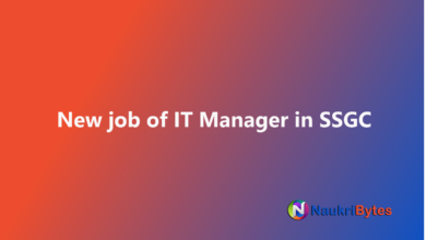 Latest available job of New IT Manager in SSGC May Sui Southern Gas Company Limited