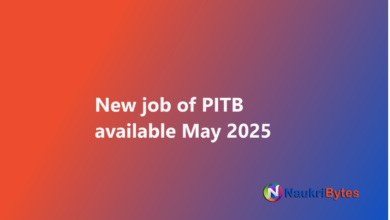 Latest available jobs of PITB Punjab Information Technology Board in Pakistan 2025