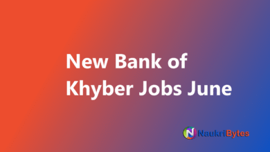 Latest Bank of Khyber Jobs June 2025 Audit Officers, Branch Manager and Others BOK