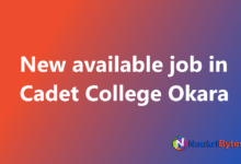 Latest job in Cadet College Okara Application Form Security Guards, Drill Instructors and Others