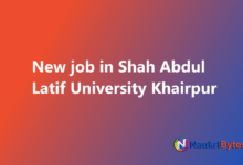 Latest available job in Shah Abdul Latif University Khairpur SALU Software Developer and Others
