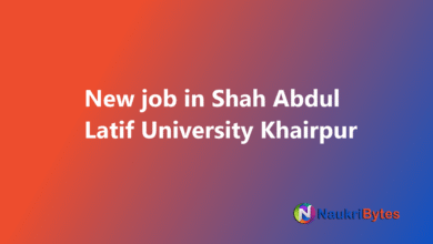Latest available job in Shah Abdul Latif University Khairpur SALU Software Developer and Others