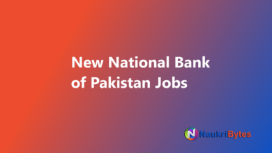 Latest available job in National Bank of Pakistan November 2025 Relationships Manager
